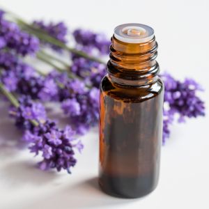 Bottle of lavender essential oil next to fresh lavender flowers