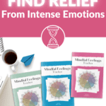 Mindful Feelings journal cover color choices