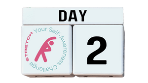 Calendar blocks indicating day two of the seven day stretch your self-awareness challenge