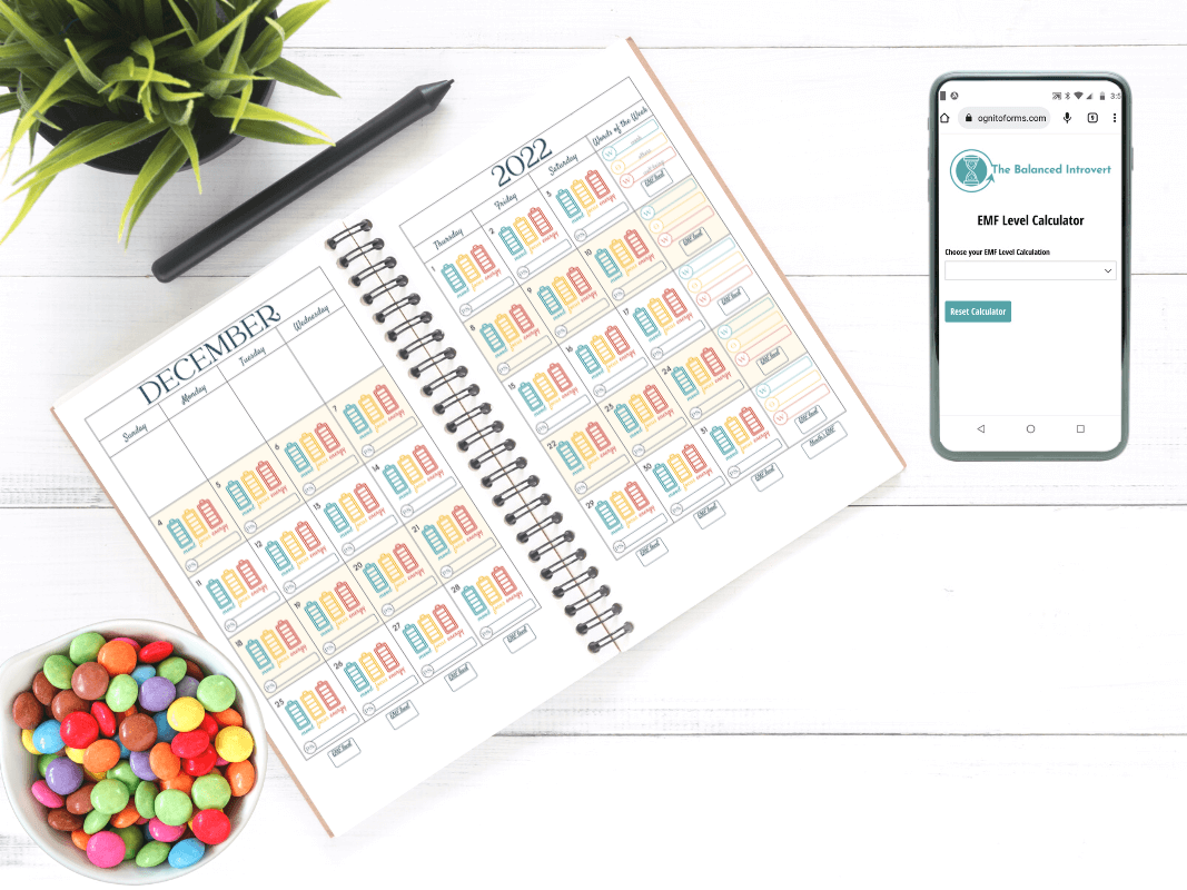 Mood + Energy Cycle Tracker sample pages notebook mockup