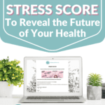 Mockup of Lifestyle Stress Test on laptop
